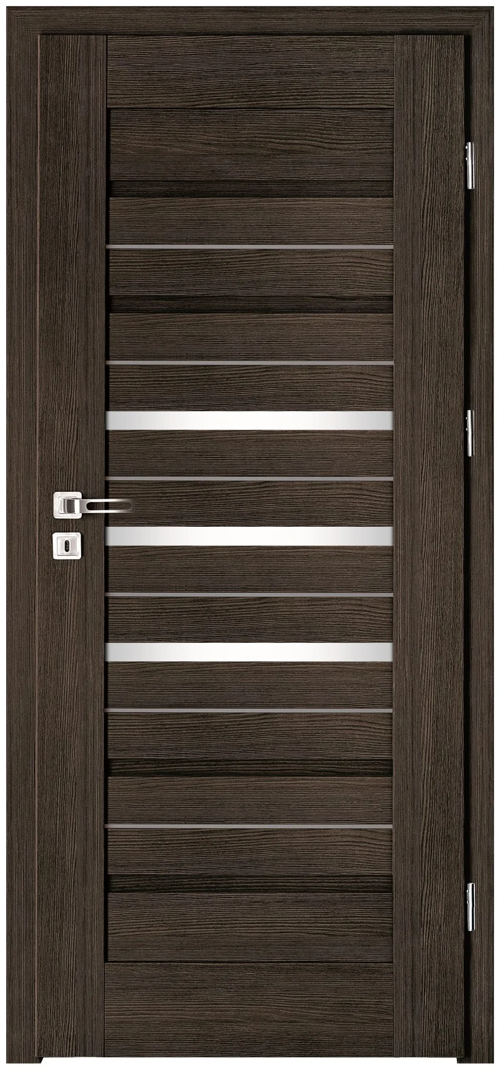 Drzwi Intenso Lion Steel W-2