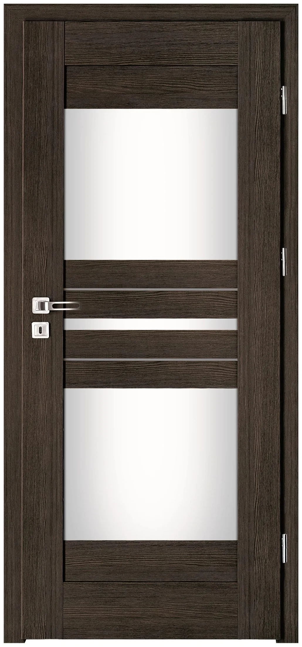 Drzwi Intenso Lion Steel W-3