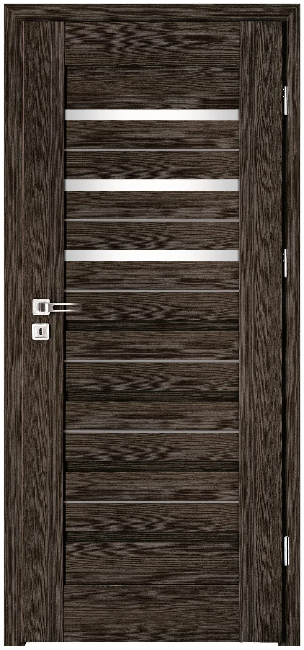 Drzwi Intenso Lion Steel W-4