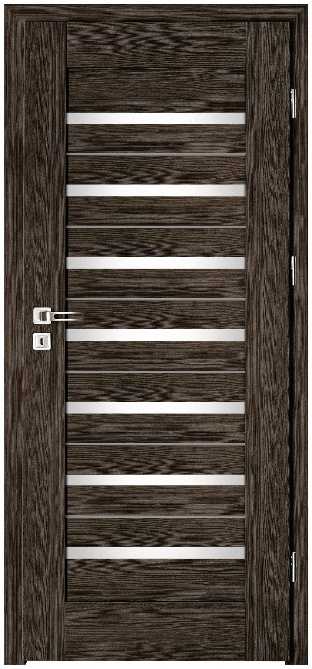 Drzwi Intenso Lion Steel W-5