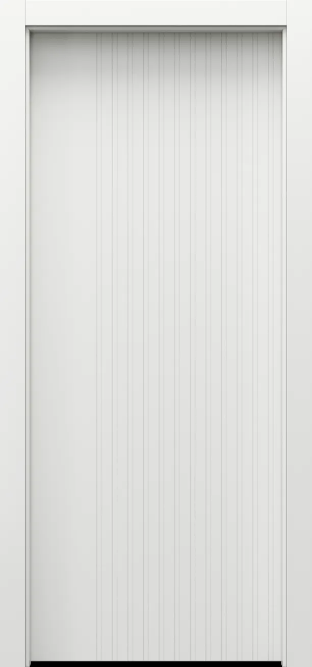 Drzwi Porta Woda model W.2